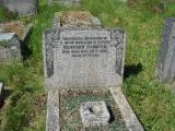 image of grave number 245095